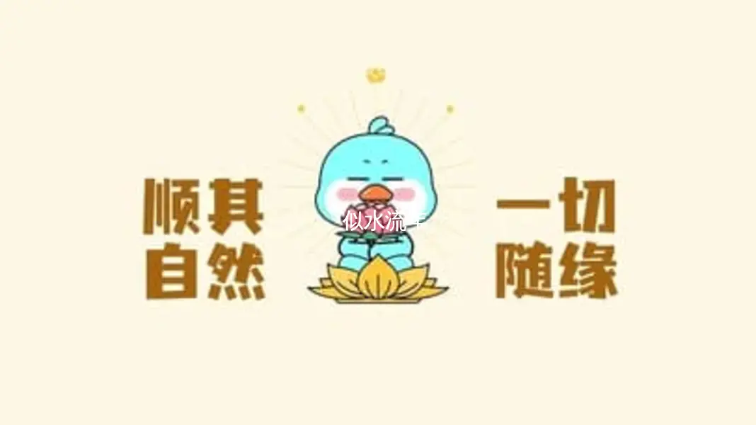 2025年度总结-似水流年