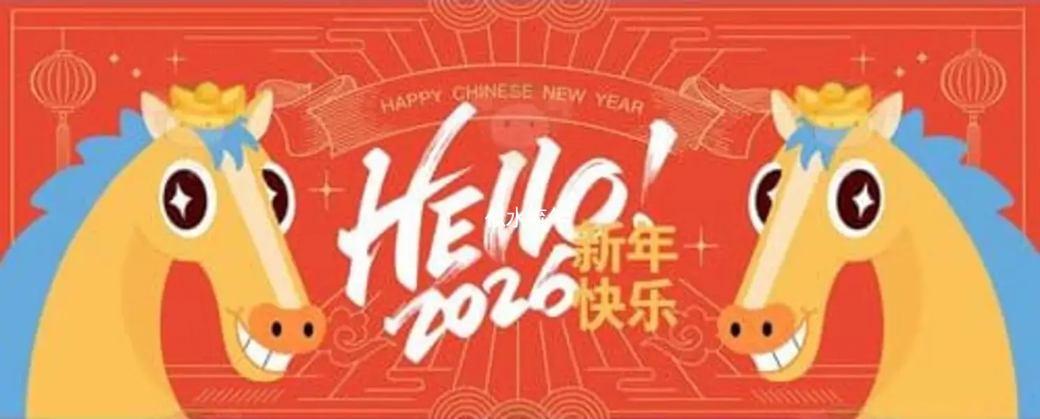 2025年度总结-似水流年